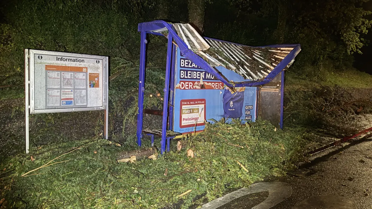 Die Bushaltestelle am Berliner Ring in Backnang wurde von einem Ast beschädigt.