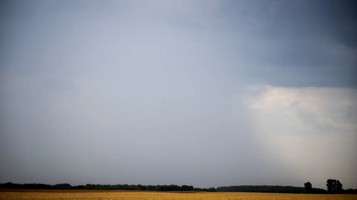 Wetter in Mecklenburg-Vorpommern: 17.07.2026, Mecklenburg-Vorpommern, Sundhagen: Dunkle Gewitterwolken ziehen über ein Feld. Schwere Gewitter und heftiger Starkregen sind am Freitag in Mecklenburg-Vorpommern möglich. Eine entsprechende Vorabinformation des Deutschen Wetterdienstes für Ostdeutschland gilt auch für MV. (zu dpa: «Unwetterwarnungen für MV - Gewitter und Starkregen») Foto: Philip Dulian/dpa +++ dpa-Bildfunk +++