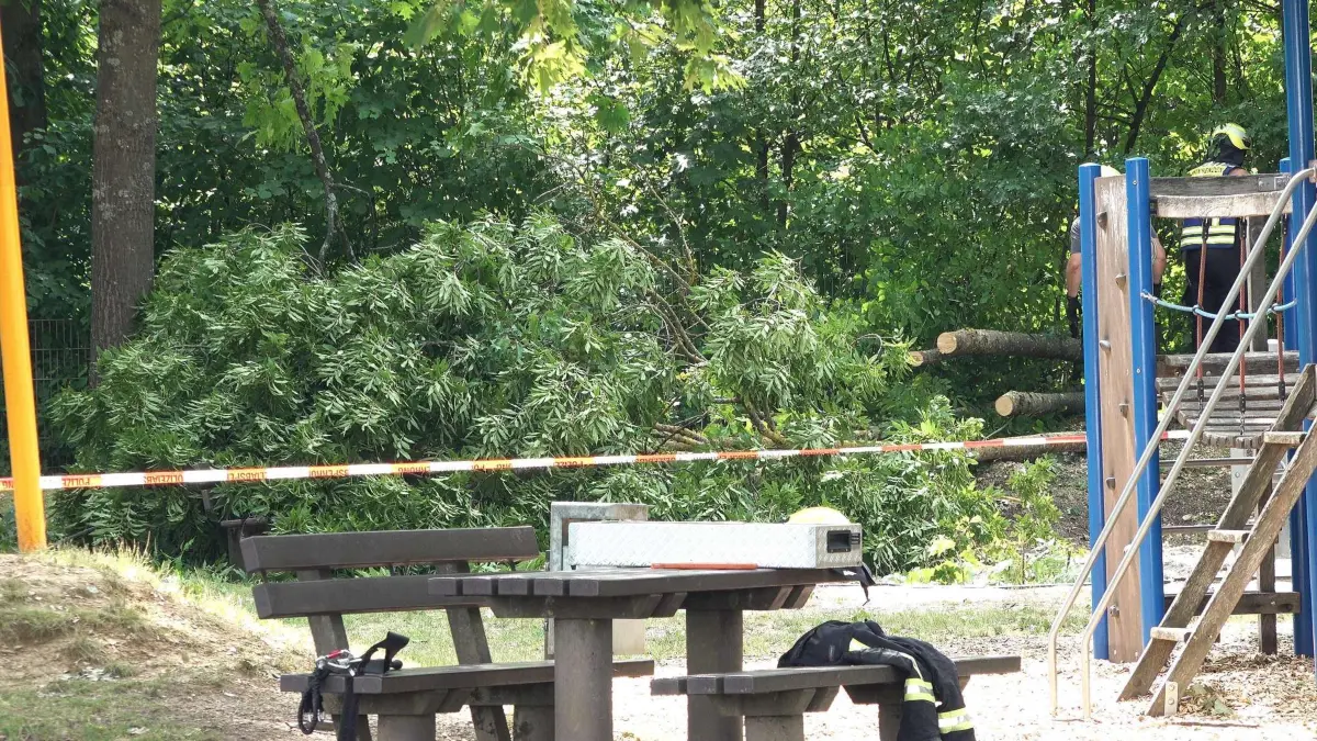 Baum stürzt auf Spielplatz