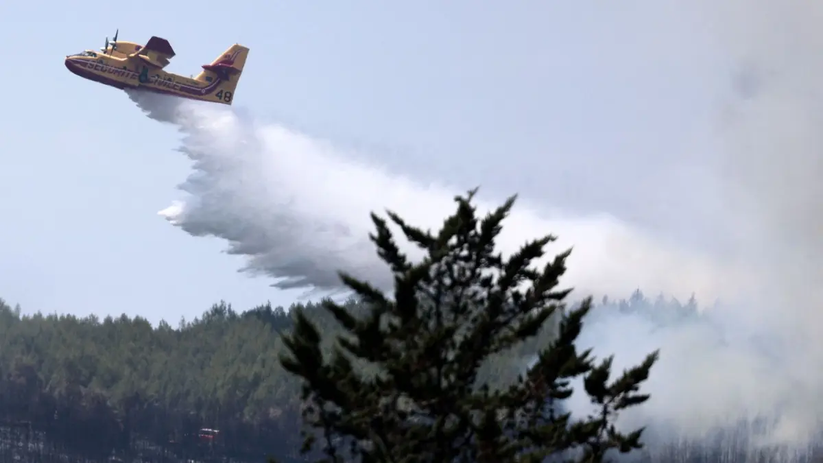Waldbrände in Frankreich: 20.07.2026, Frankreich, Taradeau: Ein Flugzeug des französischen Zivilschutzes vom Typ Canadair CL-415 besprüht einen Wald mit Wasser, nachdem im Departement Var in der Region Provence-Alpes-Côte d'Azur im Südosten Frankreichs ein Waldbrand ausgebrochen war. Der heftige Brand, der am Nachmittag des 19. Juli im Departement Var ausgebrochen war, zeigte am Abend Anzeichen einer Entspannung, hatte jedoch etwa zehn Häuser beschädigt und rund fünfzig Häuser in Mitleidenschaft gezogen. Foto: Thibaud Moritz/AFP/dpa +++ dpa-Bildfunk +++