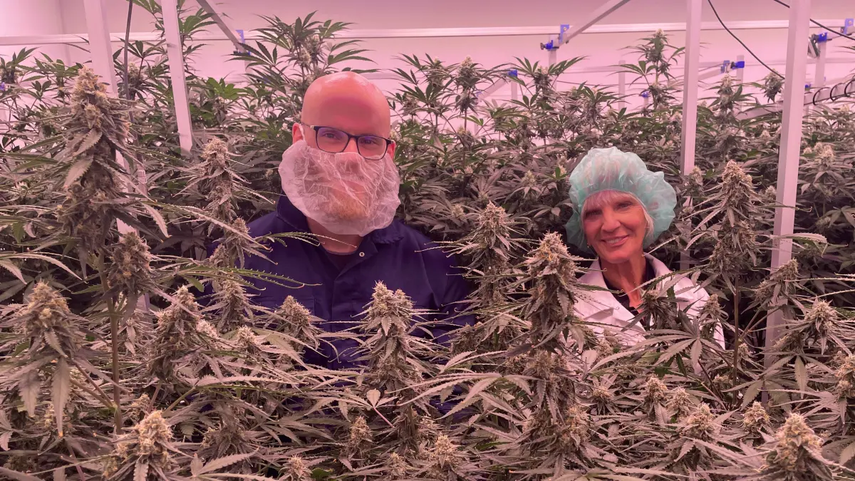 Émeric Beautier und Bea Gadorosi inmitten ihrer legal angebauten Cannabis-Pflanzen