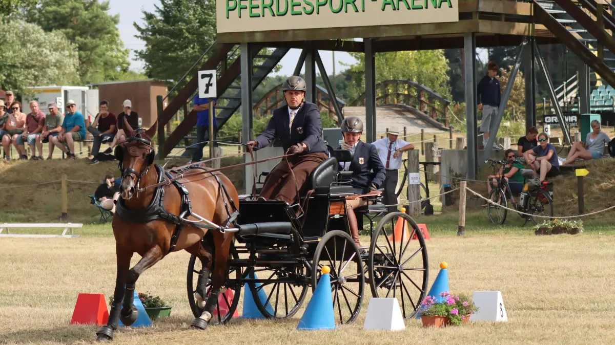 Gärtringen Pferd
