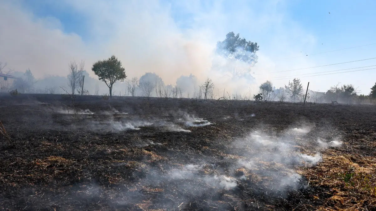 Waldbrände in Italien: 23.07.2026, Italien, Rom: Vom Feuer verwüstete Landschaft. Foto: Francesco Benvenuti/LaPresse via ZUMA Press/dpa +++ dpa-Bildfunk +++