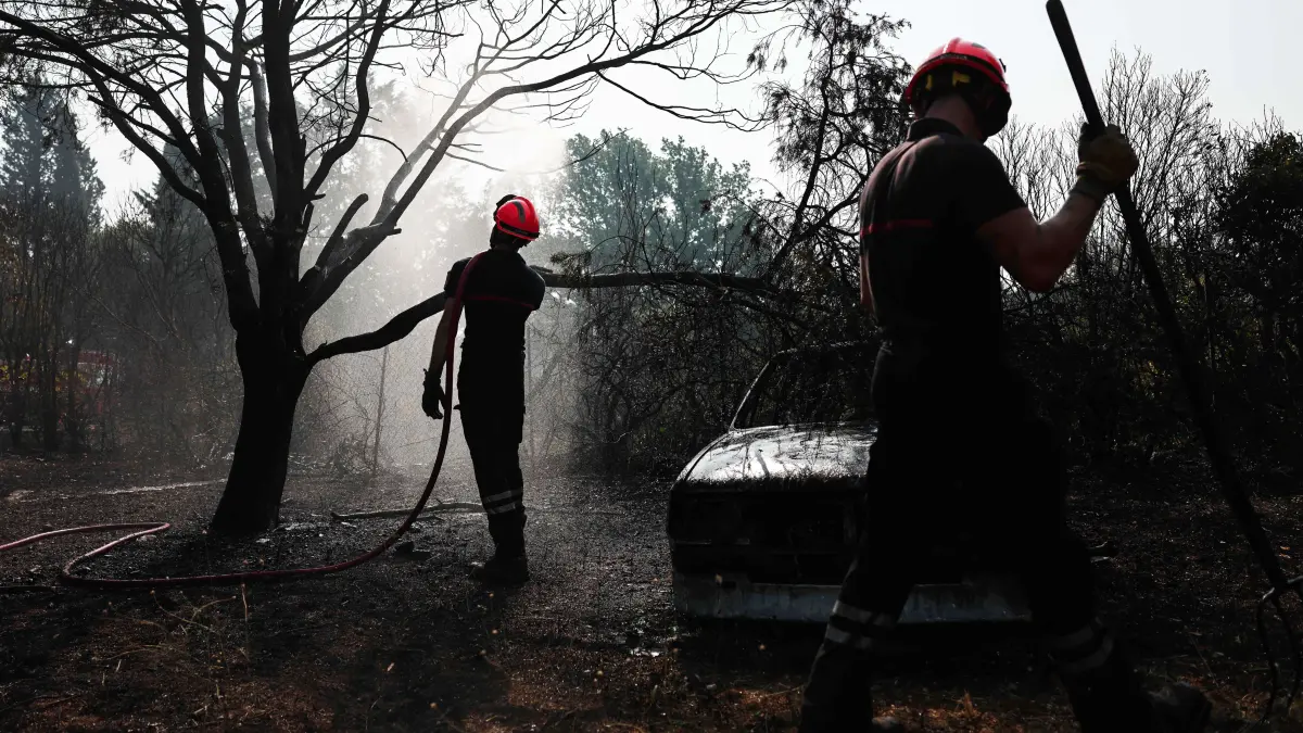 Den Feuerwehrleuten ist es gelungen, den heftigen Brand einzudämmen, der in weniger als einem Tag 2550 Hektar im Departement Var verwüstet hatte und die Evakuierung von rund 500 Menschen erzwang.