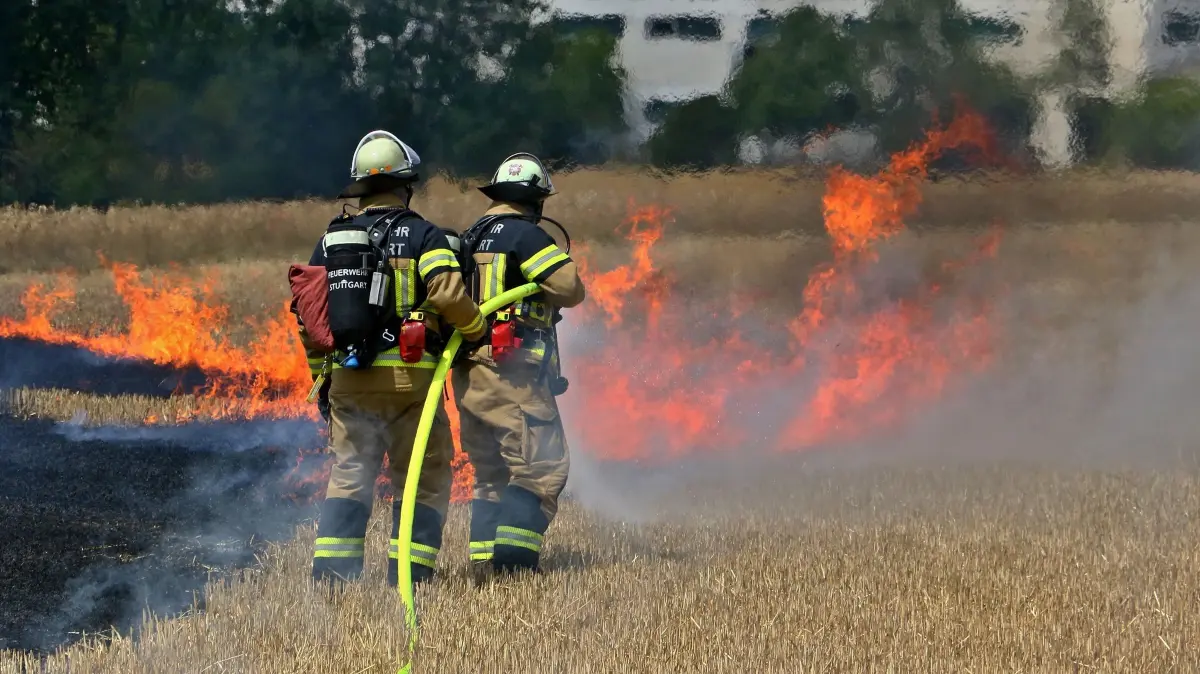 23.07.2026: Am Donnerstagnachmittag gegen 13:15 Uhr geriet auf ein Stoppelacker in Stuttgart-Hausen in Brand. Auf einer Fläche von rund 50x80 Metern brannte das abgeerntete Feld zwischen der Straße "Beim Fasanengarten" und dem Ditzinger Industriegebiet.Gartenbesitzer unternahmen vor dem Eintreffen der Feuerwehr erste Löschmaßnahmen mit einer Gießkanne. Die angrenzende Montessori-Grundschule wurde auf Grund der Rauchentwicklung geräumt und die Schüler auf den Sammelplatz geführt. Mit drei C-Rohren konnten die Freiwillige Feuerwehr Weilimdorf und die Einheiten der Feuerwache 4 Feuerbach das Feuer ablöschen und ein Übergreifen auf angrenzende Kleingärten verhindern.Um ausreichend Wasser zur Verfügung zu haben musste eine rund 250 Meter lange Schlauchleitung zum nächsten (funktionierenden) Hydranten verlegt werden.