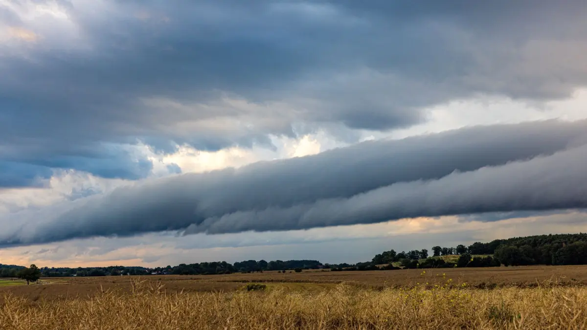 Wetter in Südbrandenburg: 23.07.2026, Brandenburg, Schorbus: Eine Böenwalze, auch Shelfcloud genannt, ist am Abendhimmel zu sehen. In der kommenden Nacht kann es in der Region noch Regen und Gewitter geben, bevor es morgen und am Sonntag trocken bleibt. Die Temperaturen steigen bis nahe an die 38-Grad-Marke. Foto: Frank Hammerschmidt/dpa/ZB - Honorarfrei nur für Bezieher des Dienstes ZB-Funkregio Ost +++ ZB-FUNKREGIO OST +++