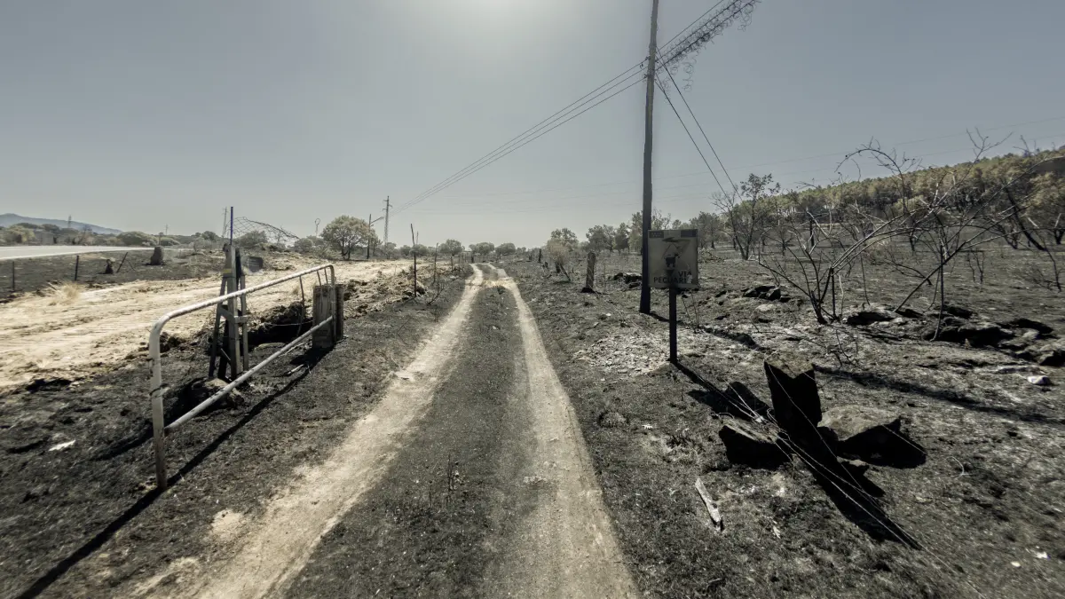 21.07.2026, Spanien, Lozoyuela: Blick auf das von einem Feuer verwüsteten Gebiet bei Lozoyuela in der Autonomen Gemeinschaft Madrid. Der Waldbrand, der am 16. Juli 2026 ausbrach, zerstörte 865 Hektar Wald- und Buschland und zählt damit zu den schwersten Bränden, die in der Region jemals verzeichnet wurden.