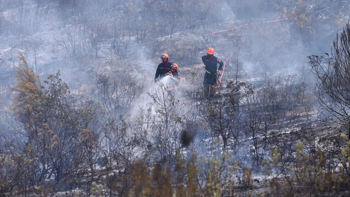 Cotignac: Feuerwehrleute bekämpfen einen Waldbrand, während sich die Dürrebedingungen infolge einer Hitzewelle und Wasserknappheit in weiten Teilen Frankreichs weiter verschärfen.
