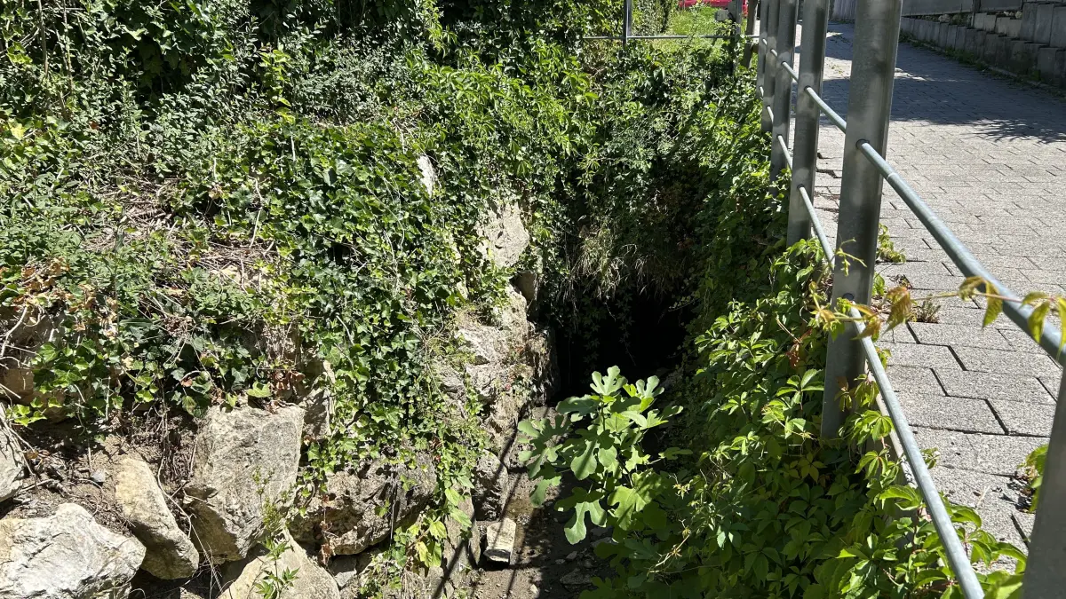 Hier ist die Würm in Hildrizhausen an der Zeppelinstraße.