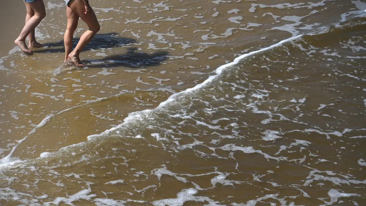 In der Ostsee werden im Sommer regelmäßig Vibrionen nachgewiesen.