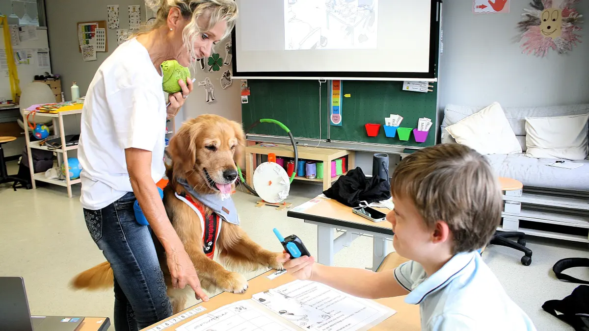 Fröbelschule, Therapiehund Amigo und seine Besitzerin Karola Leder aus Kernen-Rommelshausen kommen regelmäßig für eine Therapiehundstunde an die Fördereinrichtung, mit Hannes, dem Jungen mit Down Syndrom