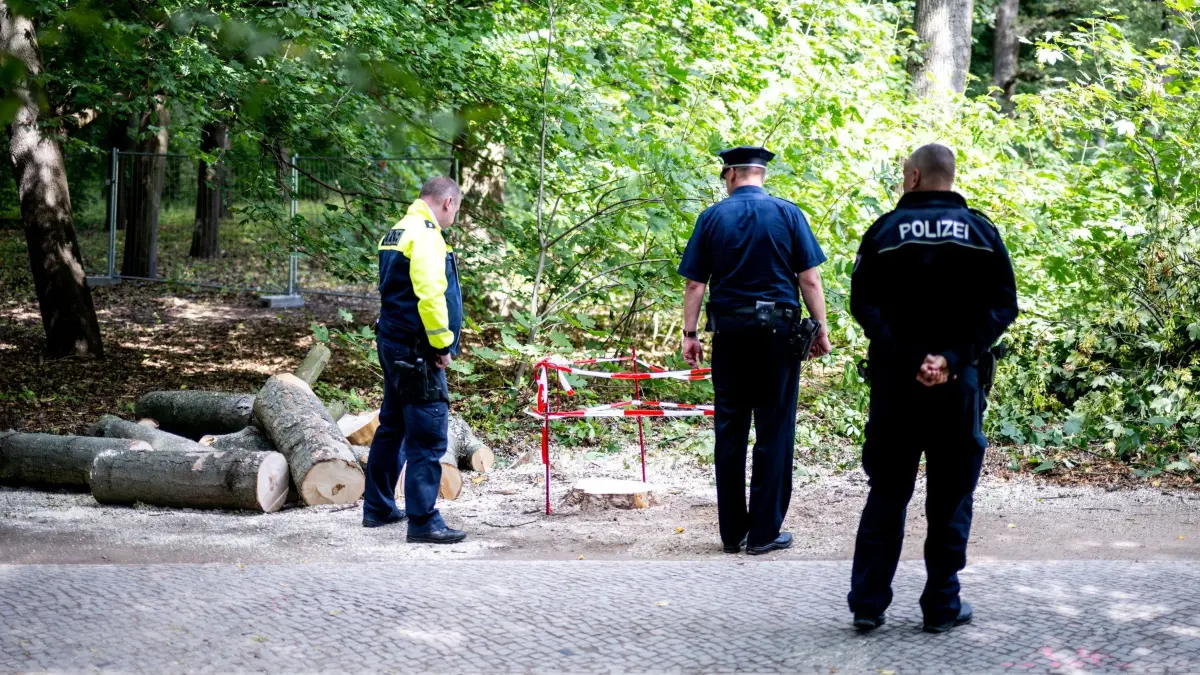 Nach dem Angriff auf CSD in Berlin: 28.07.2026, Berlin: Polizeibeamte stehen im Tiergarten neben den Resten des Baums, an dem der Van in der Anschlagsnacht gestoppt ist. Im Tiergarten war am Rande des Christopher Street Day ein Mann mit einem Fahrzeug in eine Menschenmenge gefahren. Foto: Sebastian Christoph Gollnow/dpa +++ dpa-Bildfunk +++
