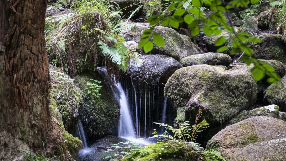 Gertelbach-Wasserfälle bei Bühlertal im Naturpark Schwarzwald Mitte-Nord