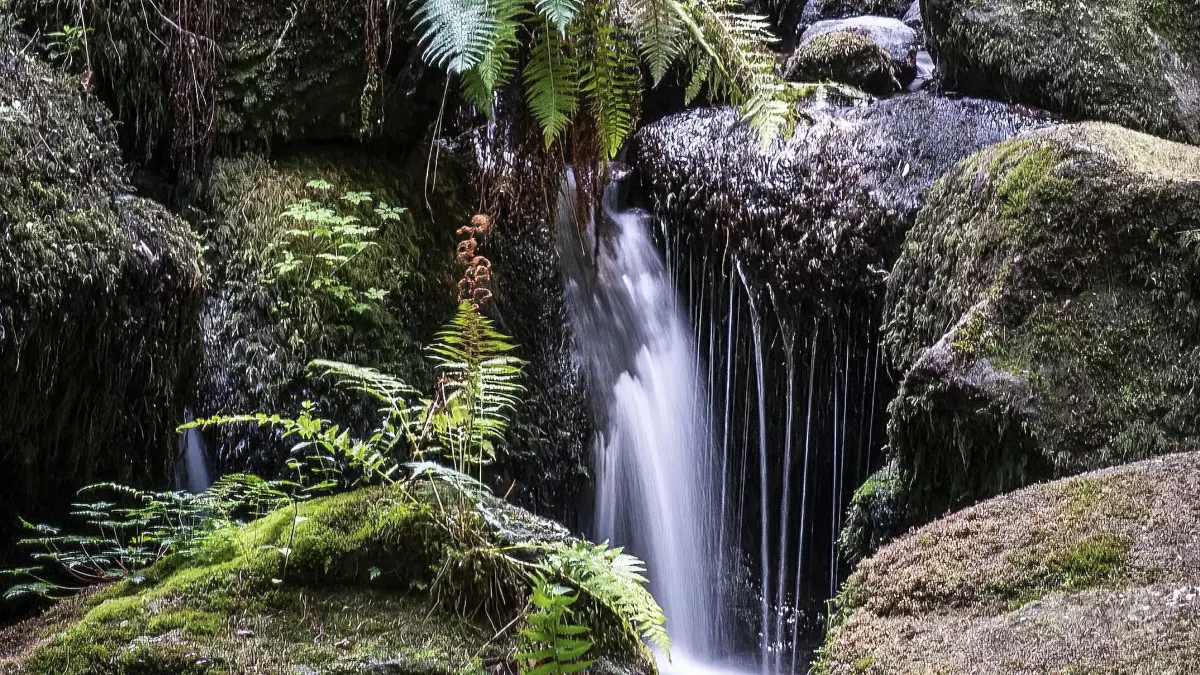 Gertelbach-Wasserfälle bei Bühlertal im Naturpark Schwarzwald Mitte-Nord
