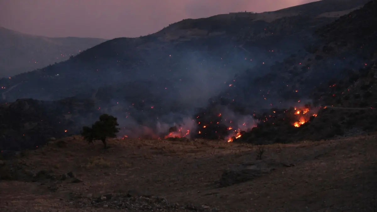 Waldbrände in Griechenland - Kreta: 29.07.2026, Griechenland, Kreta: Ein Waldbrand wütet in der Region Rethymno auf der südgriechischen Insel Kreta. Foto: Giannis Angelakis/AP/dpa +++ dpa-Bildfunk +++