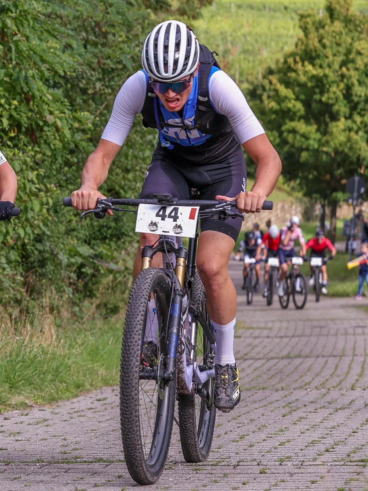 Fast&Forest Fellbach