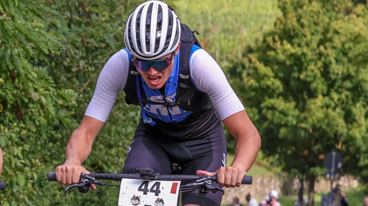 Fast&Forest Fellbach