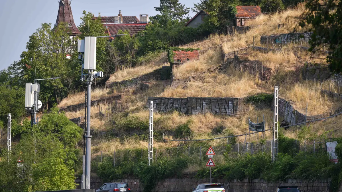 Städtischer Weinberg: Stuttgart, Lokaler Leitartikel zum städtischen Weinberg oberhalb der Neuen Weinsteige, der seit neun Jahren in desolatem Zustand ist