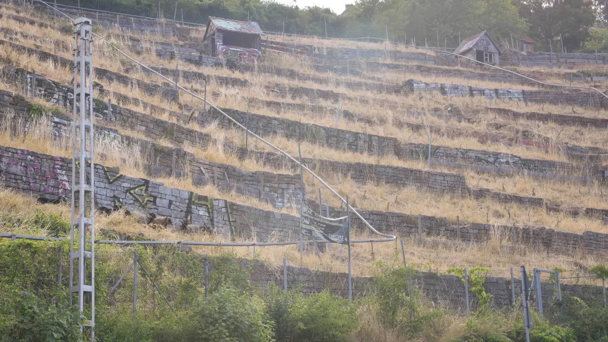 Städtischer Weinberg: Stuttgart, Lokaler Leitartikel zum städtischen Weinberg oberhalb der Neuen Weinsteige, der seit neun Jahren in desolatem Zustand ist