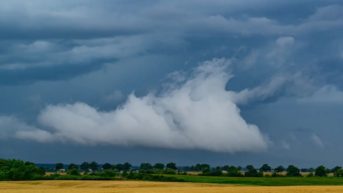 Gewitter über Brandenburg: 01.08.2026, Brandenburg, Mallnow: Gewitterwolken ziehen über die Landschaft im östlichen Brandenburg. Viele Wolken und schauerartiger Regen mit einzelnen Gewittern bestimmen den Tag. Foto: Patrick Pleul/dpa +++ dpa-Bildfunk +++