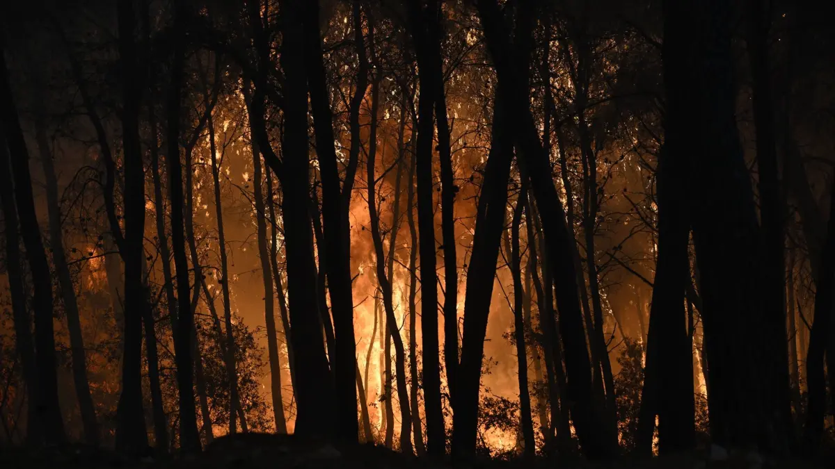 Waldbrände in Griechenland: 01.08.2026, Griechenland, Porto Germeno: Bei einem Waldbrand in der Nähe von Porto Germeno, nordwestlich von Athen Flammen durch einen Wald. Foto: Michael Varaklas/AP/dpa +++ dpa-Bildfunk +++