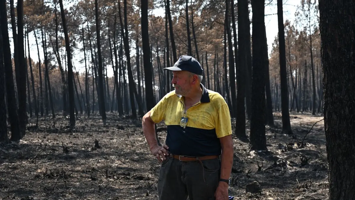 Didier Monchaux steht inmitten von verbrannten Bäumen auf seinem Gelände in Lanton in der Region Gironde. Ein Großteil seiner Waldfläche ist durch die Waldbrände im Südwesten von Frankreich zerstört worden.