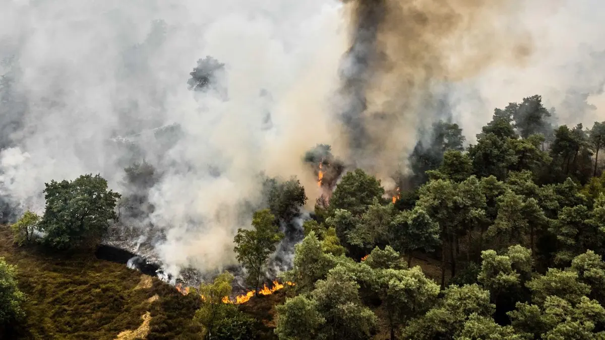 Im Naturschutzgebiet De Rosmolen wütet ein Großbrand, wie die Sicherheitsregion Limburg-Nord mitteilte. Aufgrund der anhaltenden Trockenheit konnte sich das Feuer rasant ausbreiten.