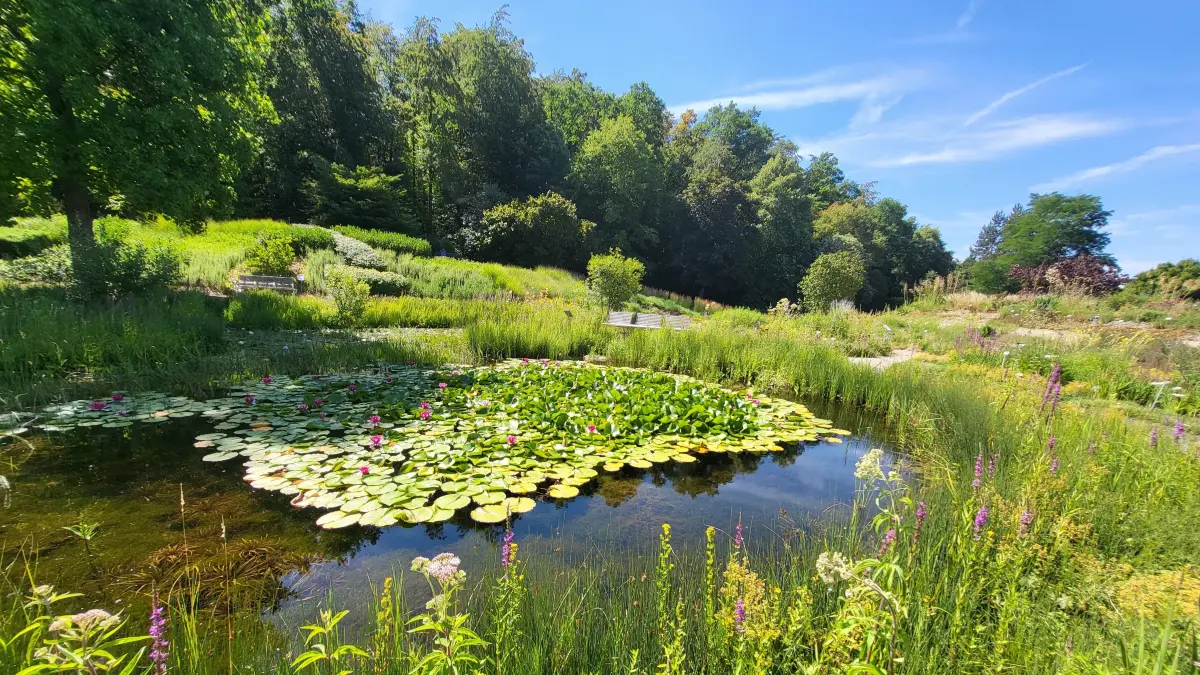 Idylle pur: Der Lehr- und Versuchsgarten der HfWU in Nürtingen trägt nicht umsonst den Beinamen "Garten Eden".