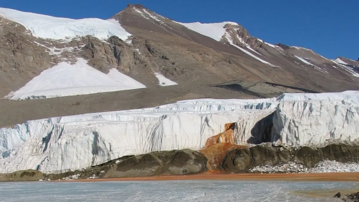 Blood Falls (auch Blutfälle oder Blutstrom) ist der Name eines Ausflusses einer mit Eisenoxid angereicherten Salzwasserfahne, die aus der Zunge des Taylor-Gletschers auf die eisbedeckte Fläche des westlichen Bonneysees im Taylor Valley, einem der Antarktischen Trockentäler in Victorialand, Antarktis, fließt.