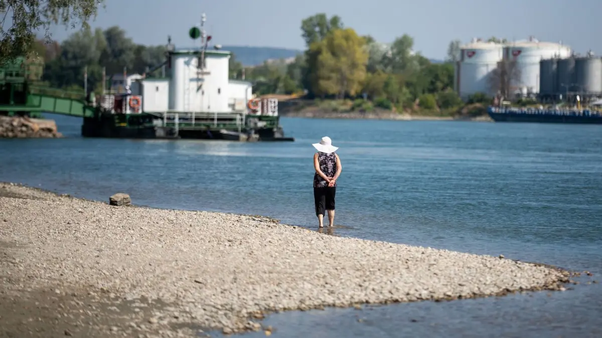 Eine Frau steht am Ufer der Donau in Niederösterreich mit Blick auf eine Rollfähre. Ausbleibende Niederschläge und hohe Temperaturen sorgen derzeit für historisch niedrige Wasserstände an der Donau.