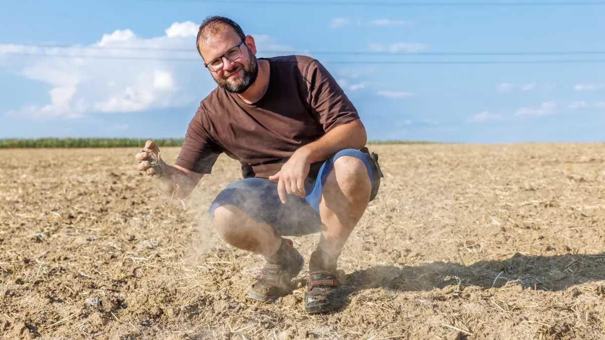 Alexander Lutz: Weil im Schönbuch, Bauer, Landwirt, Trocken, Trockenheit, Wassermangel, Ernte, Erde, Staub, Feld, Klimawandel,
