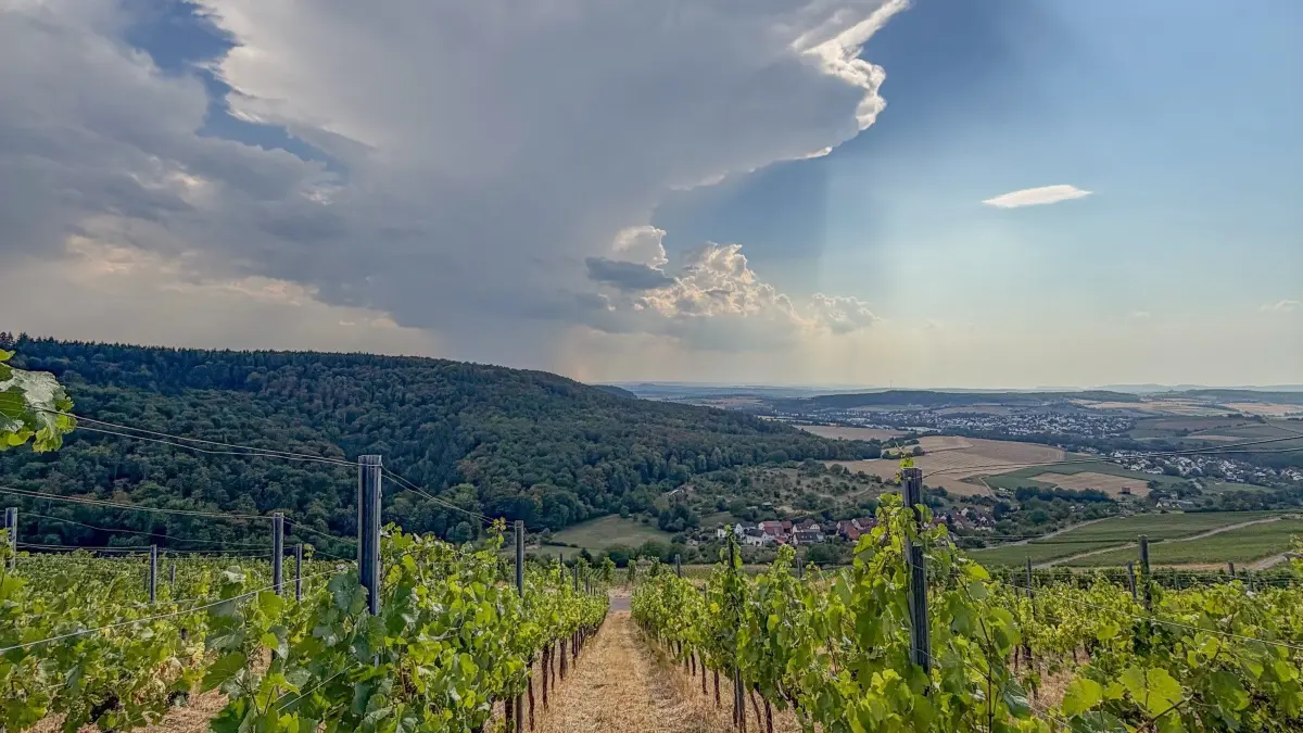 Wetter im Kreis Ludwigsburg