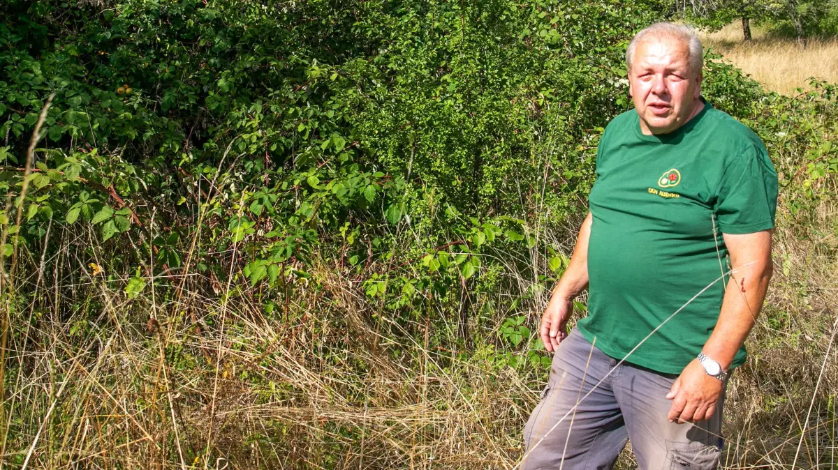 foto: Roberto Bulgrin
06. 08. 2026
Esslingen, zwischen Altbach und Zell, Streuobstwiesen gehören zum immateriellen Kulturerbe und sind damit besonders geschützt. Wer sich um ihren Erhalt bemüht, wird gefördert. Dennoch verwildern die Wiesen zusehends. Esslingen will Besitzer nun dazu bringen, ihre Grundstücke in Ordnung zu halten