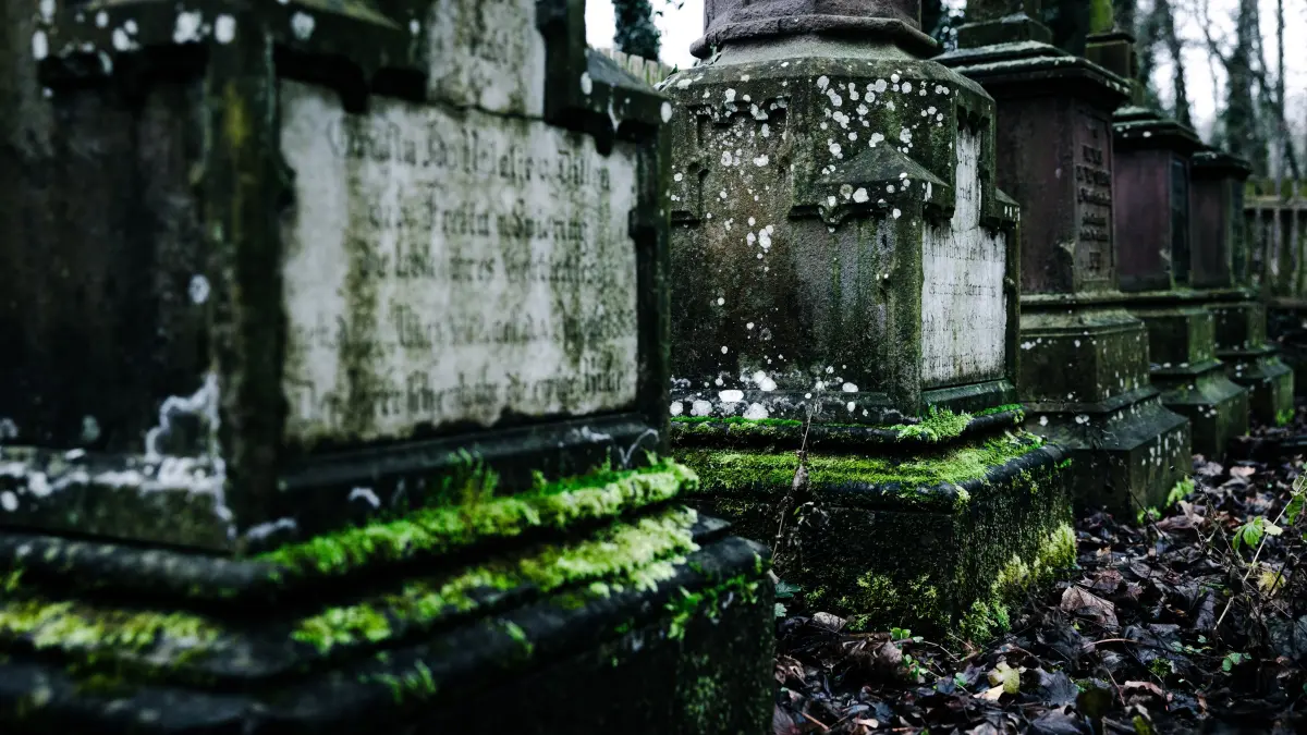 #lostplaces Grafenau, Schloss Dätzingen: Treffen mit Kuno Schlichtenmaier. Es geht um den ziemlich verwaisten Adelsfriedhof neben dem Schloss, auf dem unter anderem Hans von Raumer begraben liegt, einst Reichswirtschaftsminster unter Stresemann und Daimler-Hauptaktionär.