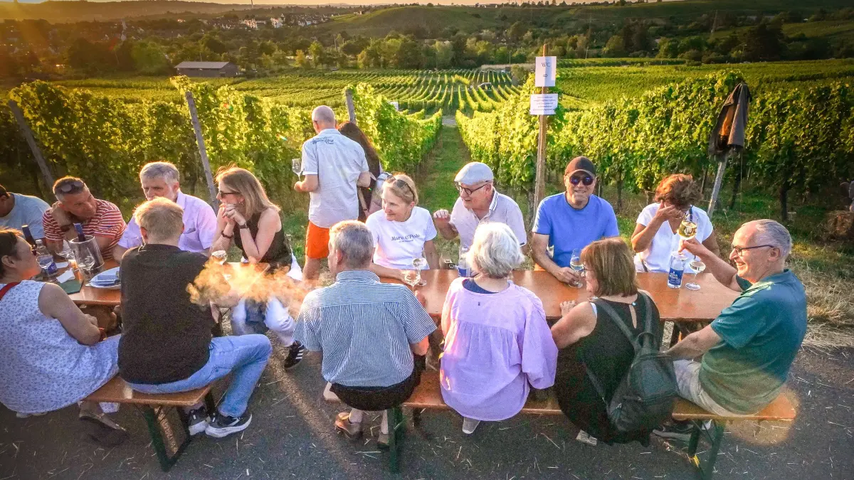 Gastro. Das Collegium Wirtemberg lädt zur Weinmeile. Hunderte Besucher genießen Wein und Sonnenuntergang in den Weinbergen mit Blick auf Stuttgart : Gastro. Das Collegium Wirtemberg lädt zur Weinmeile. Hunderte Besucher genießen Wein und Sonnenuntergang in den Weinbergen mit Blick auf Stuttgart