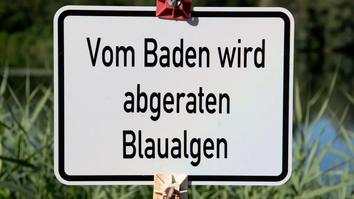 Blaualgen: ARCHIV - 03.07.2018, Niedersachsen, Hildesheim: Ein Schild «Vom Baden wird abgeraten - Blaualgen» steht am Ufer eines Badesees. (zu dpa: «Blaualgen an der Ostsee - Gesundheitsamt rät vom Baden ab») Foto: Julian Stratenschulte/dpa +++ dpa-Bildfunk +++