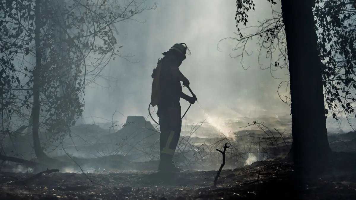Waldbrand in Hessen