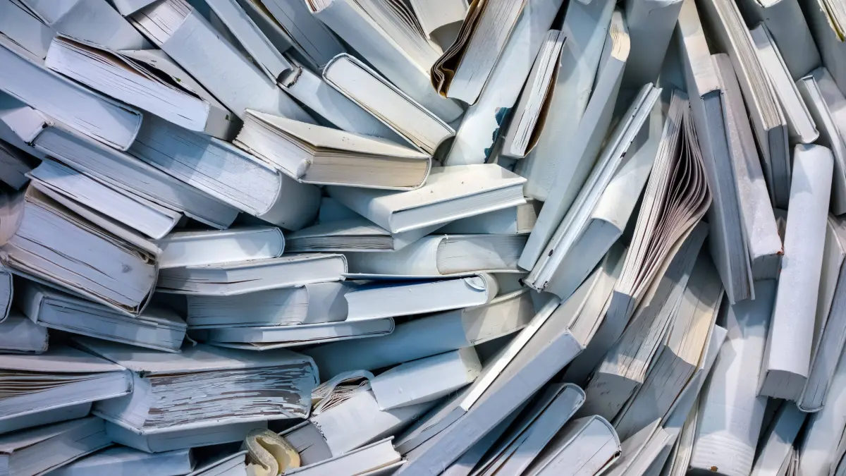 20 Bücher schaffen es auf die Longlist des Deutschen Buchpreises. Einige wichtige Titel fehlen, meint unsere Redaktion.