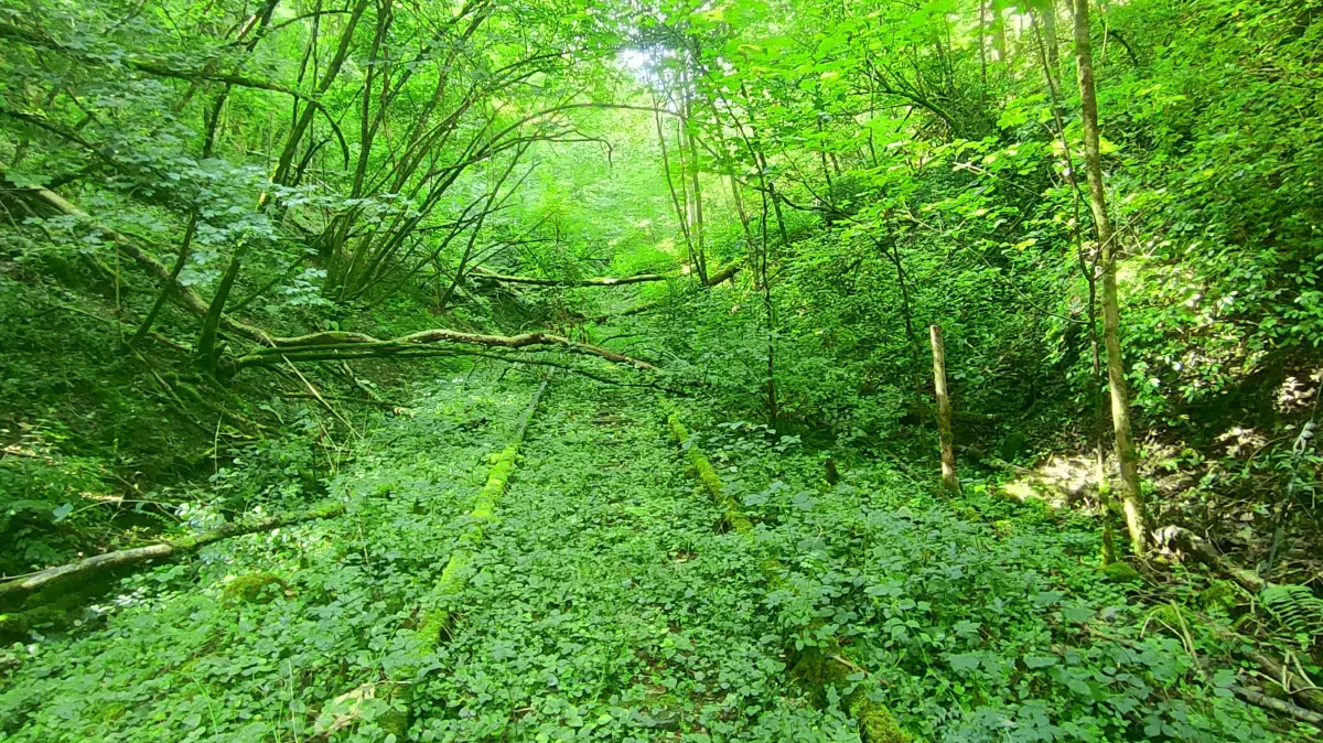 Hacksbergschleife bei Schafhausen
