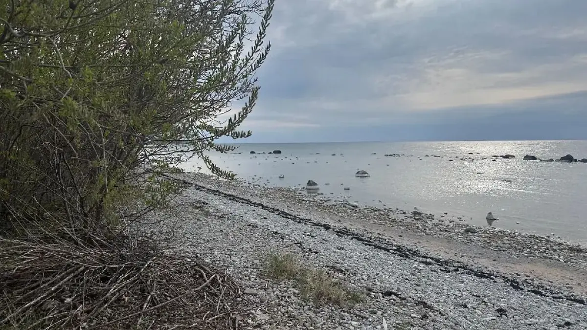 Tausende Jahre alt: Auf einer kleinen Insel vor Gotland haben Archäologen die Überreste einer schwangeren Frau entdeckt.