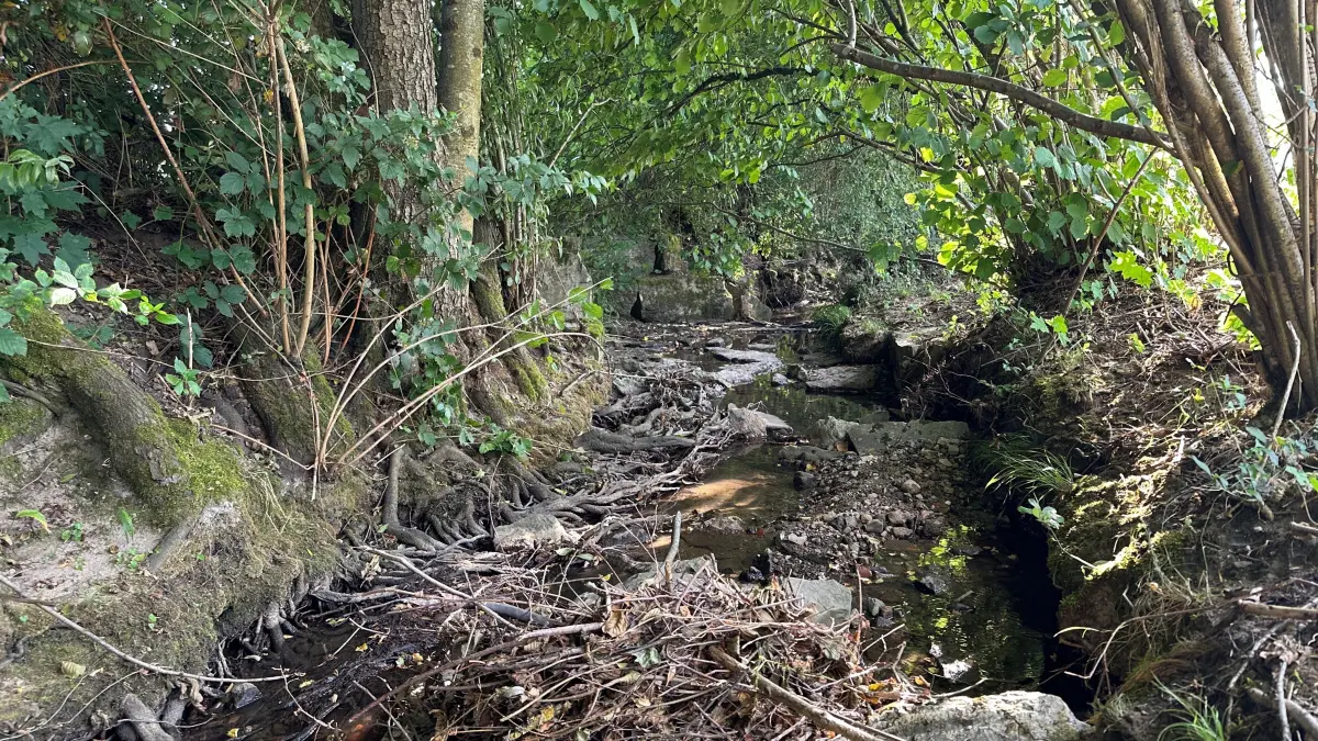 Glaitenbach bei Auenwald fast völlig ausgetrocknet