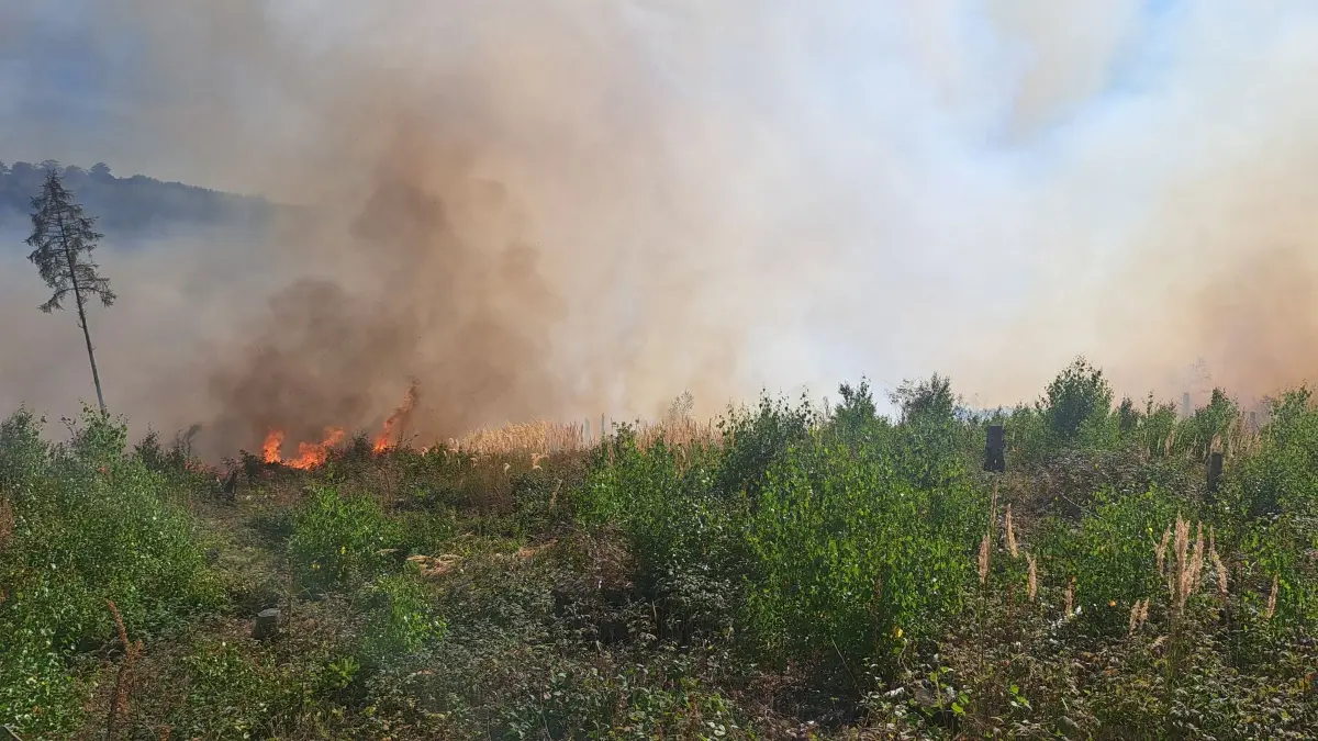 Waldbrand im Sauerland: HANDOUT - 12.08.2026, Nordrhein-Westfalen, Sundern: Flammen und Rauch steigen bei einem Waldbrand bei Sundern-Stemel auf. Das Feuer auf einer Fläche von 80.000 Quadratmetern ist inzwischen unter Kontrolle. Es sind aber weiterhin rund 100 Einsatzkräfte der Feuerwehr vor Ort, um Glutnester zu löschen. Foto: -/Feuerwehr Sundern/dpa - ACHTUNG: Nur zur redaktionellen Verwendung im Zusammenhang mit der aktuellen Berichterstattung und nur mit vollständiger Nennung des vorstehenden Credits +++ dpa-Bildfunk +++