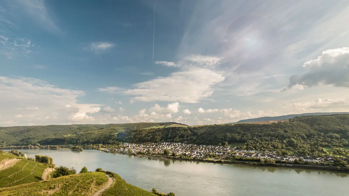 Aussicht von der Weinlage Bopparder Hamm auf den Rhein