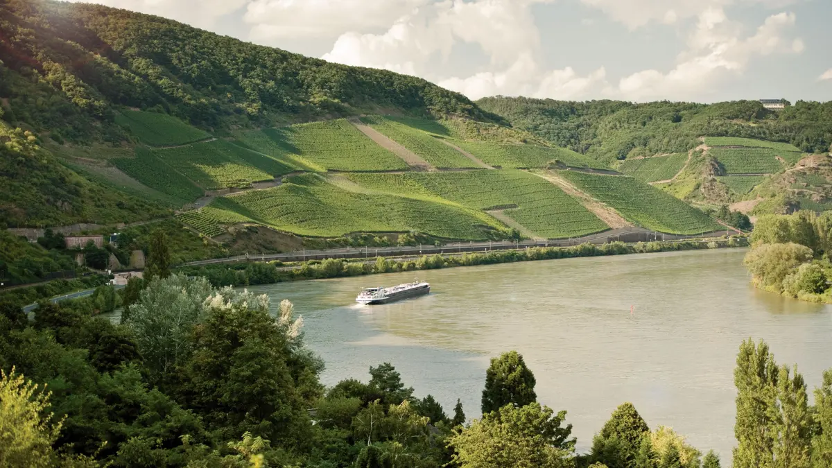 Blick auf den Bopparder Hamm am Mittelrhein.