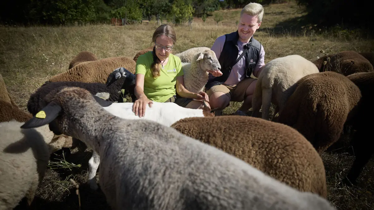 KEINEN AUSSCHNITT MACHEN Moritz Polinski vom Lamm in Hebsack und Schäferin Beatrix Kappelle: KEINEN AUSSCHNITT MACHEN
Remshalden-Hebsack, DEU, 13.08.2026
Moritz Polinski vom Lamm in Hebsack und Schäferin Beatrix Kappelle
No model release. Kein Einverständnis für Werbung, keine Weitergabe an Dritte.
Abgebildete Personen haben der Veröffentlichung in der STZN zugestimmt.