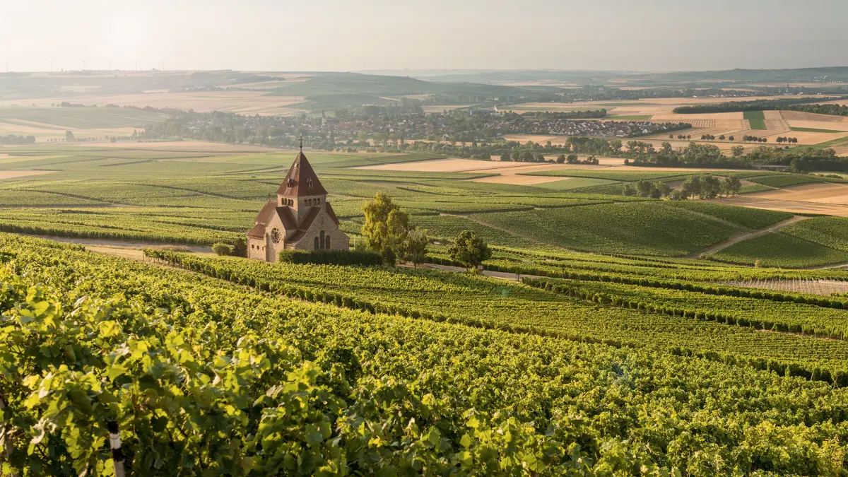 Die Kreuzkapelle bei Gau-Bickelheim inmitten der Weinberge.
