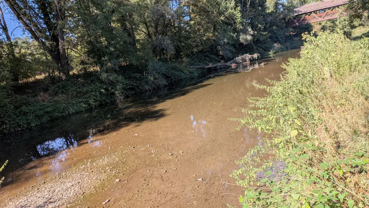 Das Wasser in der Murr bei Murr ist nur noch wenige Zentimeter hoch.