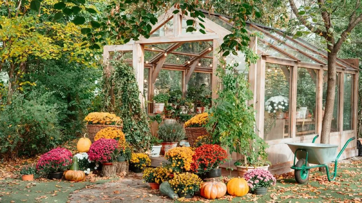 Der Garten bereitet sich im September auf die kühle Jahreszeit vor. Das bedeutet nicht, dass die Gartensaison vorbei ist.