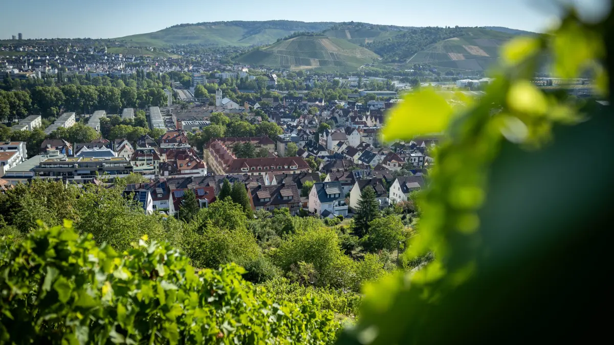 Winzer Simon Mischke : Stuttgart, Baden-Württemberg, 14.08.2026:
Weinszene ist geprägt von kleinen Betrieben. Ohne Leute wie Simon Mischke gbäe es viel weniger Weinberge in der Stadt. Er hat die Reben in Wangen von seinem Großvater übernommen.
Im Bild: Blick von einem Weg in dein Weinbergen auf Wangen (Im Vordergrund ist kein Weinberg von Mischke).
Notiz: No model release. Kein Einverständnis für Werbung, keine Weitergabe an Dritte.