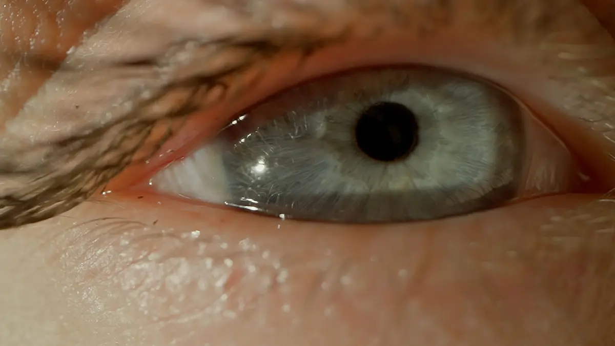 The penetrating gaze of the human eye. Macro shot. Concept of vision, diagnostics, treatment of diseases xkwx macro eye man body vision optical medical beauty care healthy treatment healthcare eyeball pupil perception retina iris eyesight eyelid eyelash eyebrow cornea sight gaze lens diagnostics close up visualization comprehension reception sensation organ ophthalmologist ophthalmology optic oculist eyecare eyecologist optometrist myopia hyperopia human makeup person blinking watching people detail
